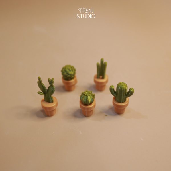 Nam châm trang trí tủ lạnh xương rồng Catus Magnet